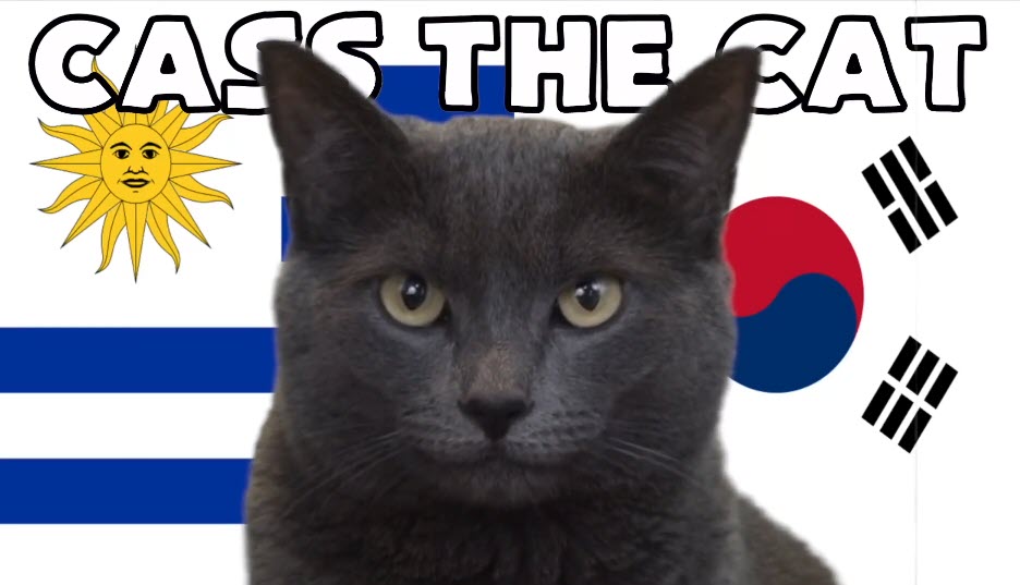Mèo tiên tri dự đoán kết quả bóng đá Uruguay vs Hàn Quốc