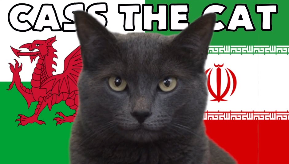 Mèo tiên tri dự đoán Xứ Wales vs Iran, 20h ngày 25/11