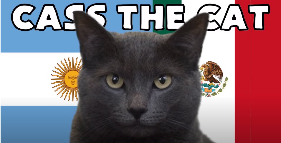 Mèo tiên tri dự đoán Argentina vs Mexico, 2h ngày 26/11