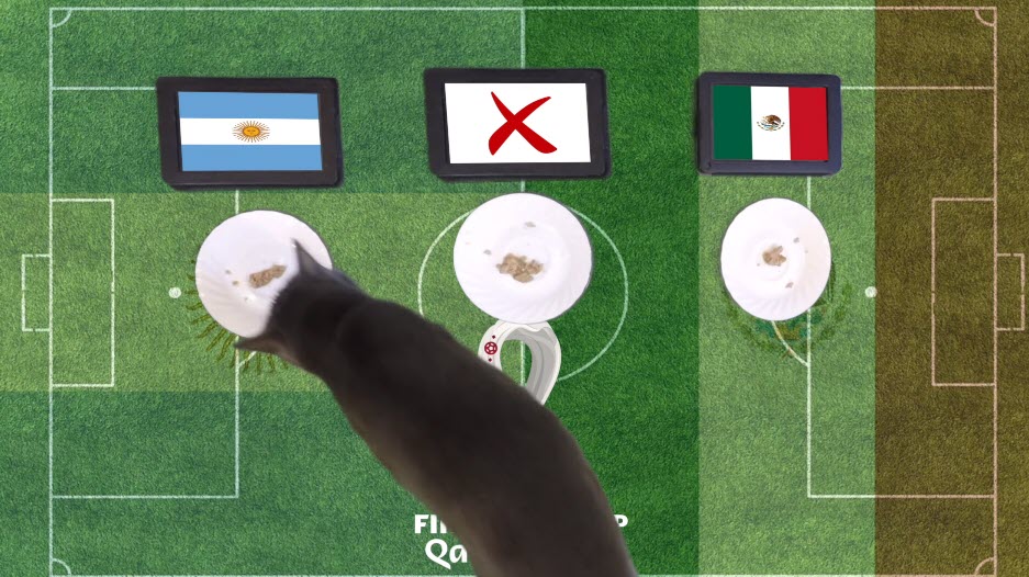 Mèo tiên tri dự đoán Argentina vs Mexico