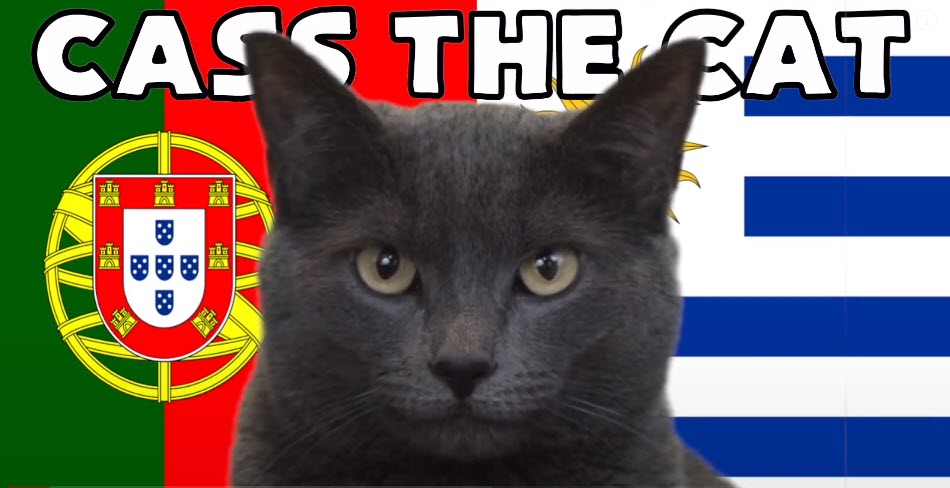 Mèo tiên tri dự đoán Bồ Đào Nha vs Uruguay, 2h ngày 29/11