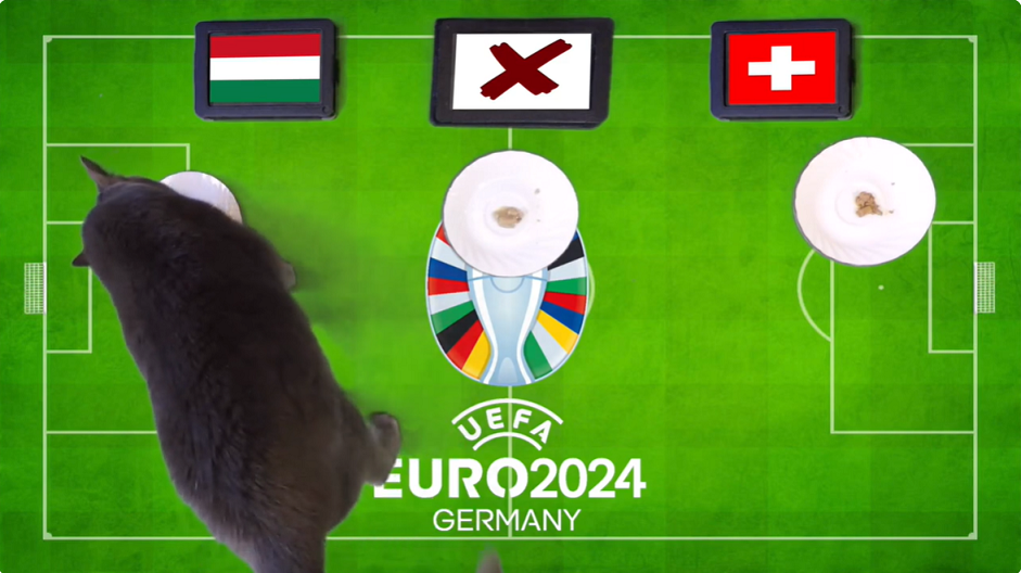 Mèo tiên tri dự đoán Hungary vs Thụy Sĩ