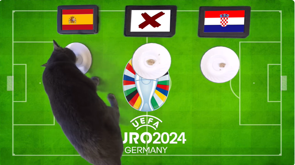Mèo tiên tri dự đoán Tây Ban Nha vs Croatia