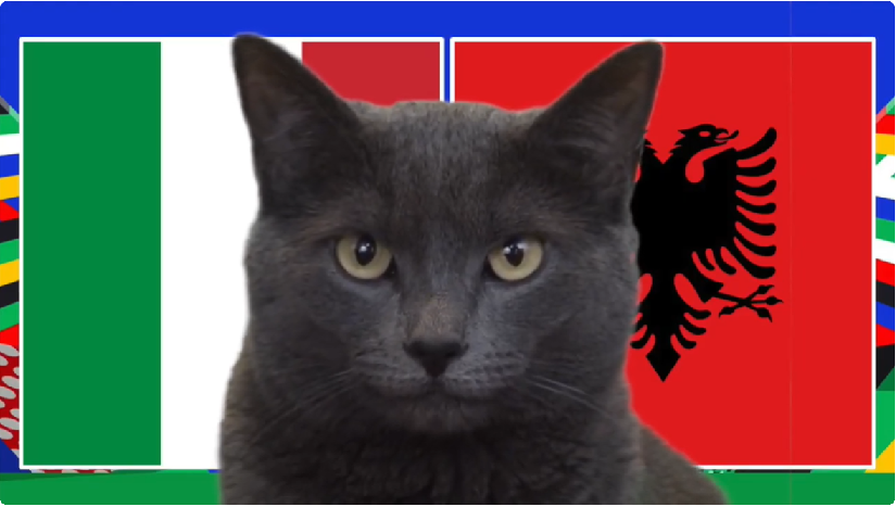 Mèo tiên tri dự đoán Italia vs Albania, 2h ngày 16/6, Euro 2024