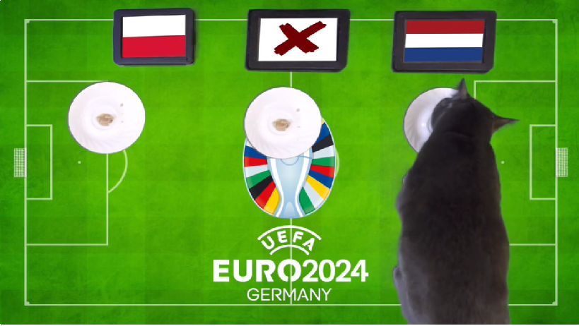 Mèo tiên tri dự đoán Ba Lan vs Hà Lan
