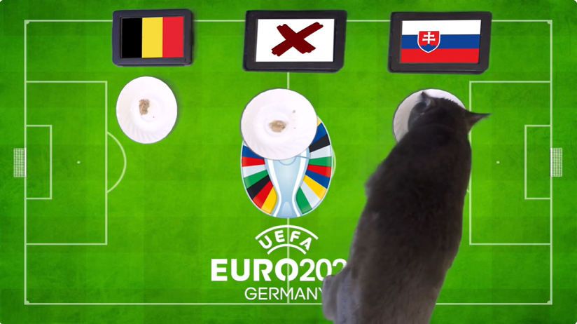 Mèo tiên tri dự đoán Bỉ vs Slovakia