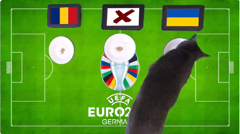 Mèo tiên tri dự đoán Romania vs Ukraine