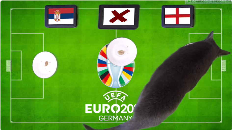 Mèo tiên tri dự đoán Serbia vs Anh