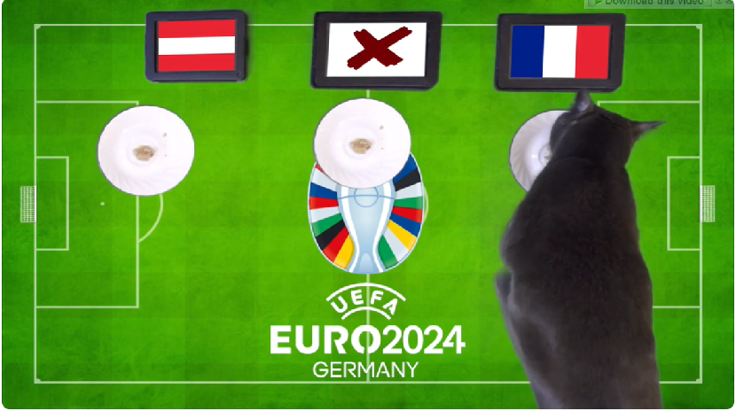 Mèo tiên tri dự đoán Áo vs Pháp