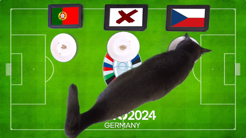 Mèo tiên tri dự đoán Bồ Đào Nha vs Séc