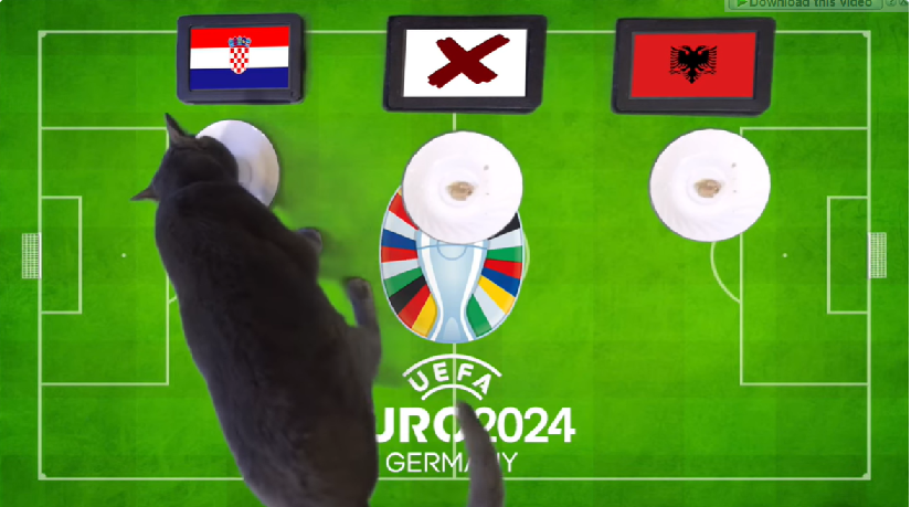 Mèo tiên tri dự đoán Croatia vs Albania