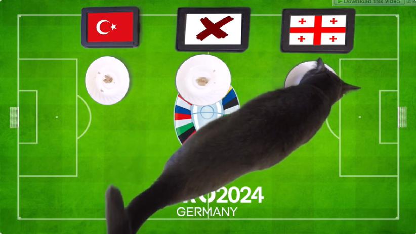 Mèo tiên tri dự đoán Thổ Nhĩ Kỳ vs Georgia