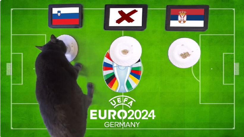 Mèo tiên tri dự đoán Slovenia vs Serbia