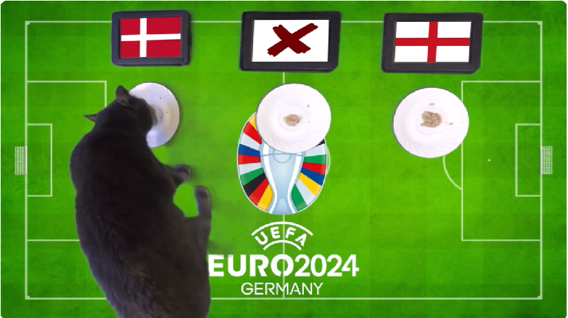 Mèo tiên tri dự đoán Đan Mạch vs Anh