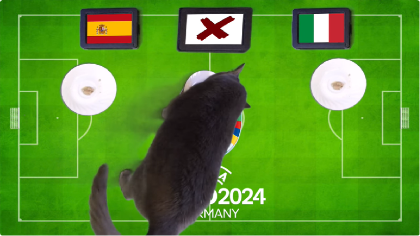 Mèo tiên tri dự đoán Tây Ban Nha vs Italia