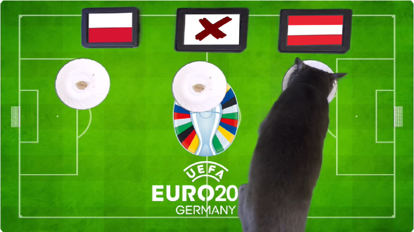 Mèo tiên tri dự đoán Ba Lan vs Áo