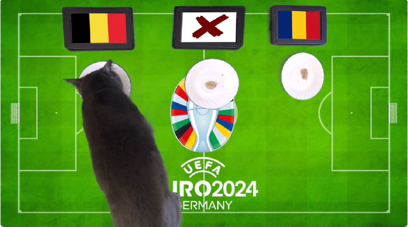 Mèo tiên tri dự đoán Bỉ vs Romania