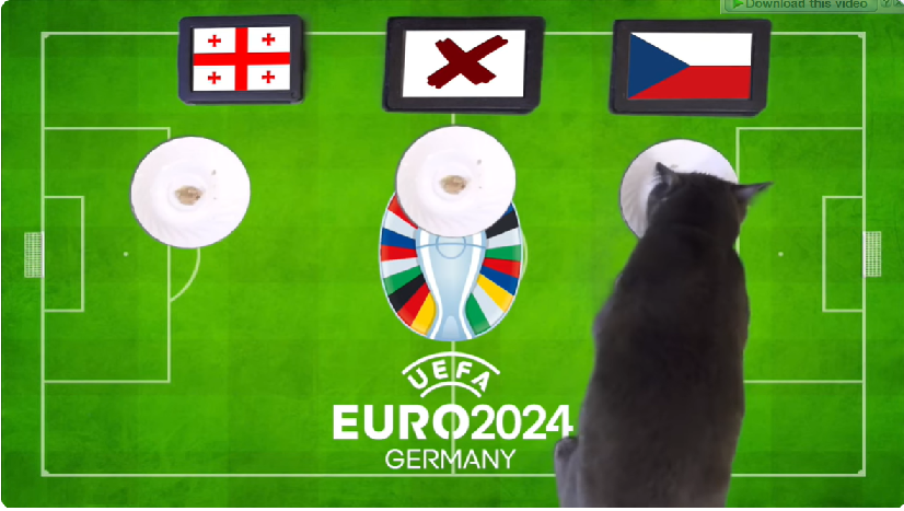 Mèo tiên tri dự đoán Georgia vs Séc