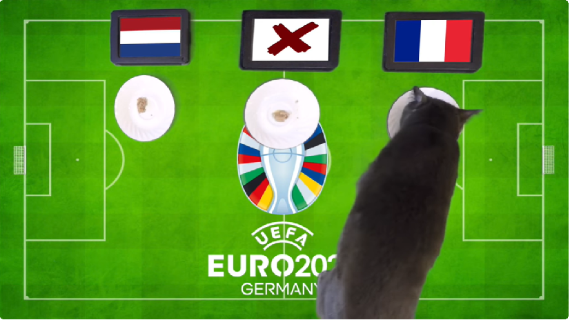 Mèo tiên tri dự đoán Hà Lan vs Pháp