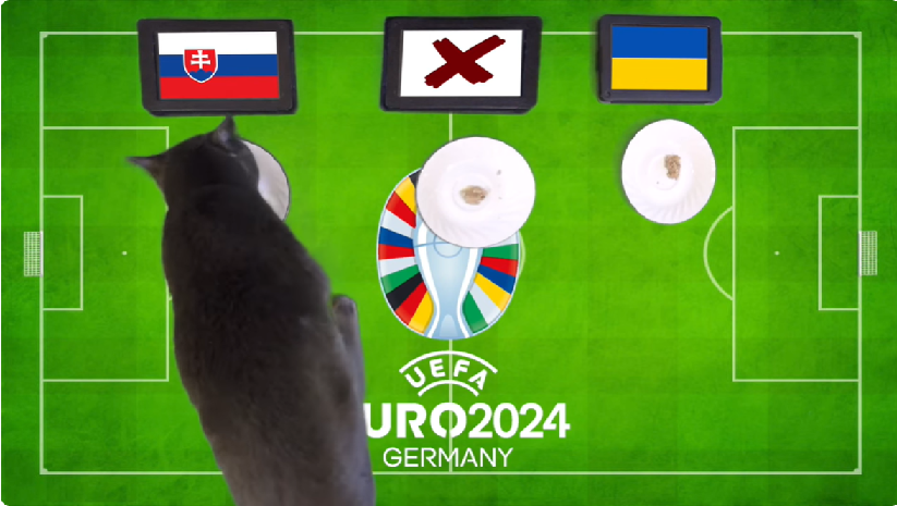 Mèo tiên tri dự đoán Slovakia vs Ukraine