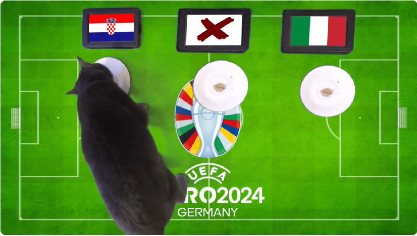 Mèo tiên tri dự đoán Croatia vs Italia