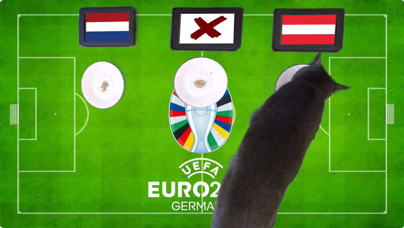 Mèo tiên tri dự đoán Hà Lan vs Áo