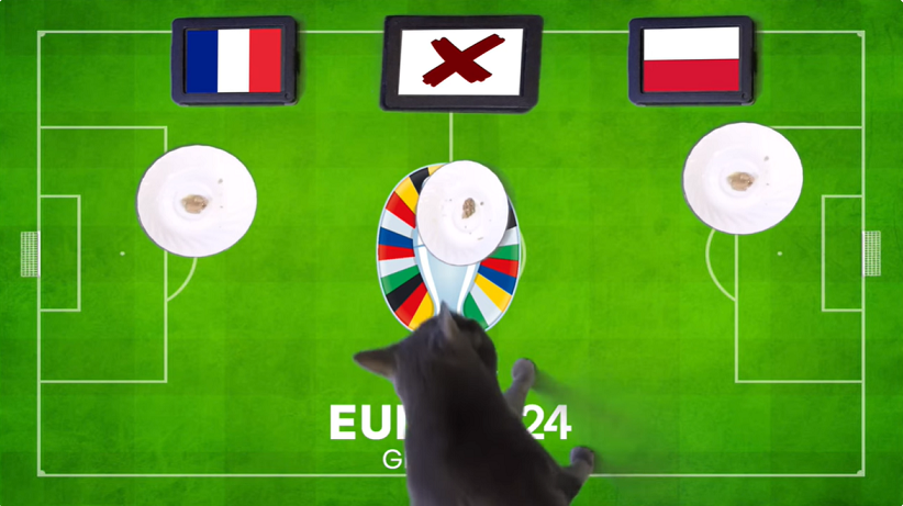 Mèo tiên tri dự đoán Pháp vs Ba Lan