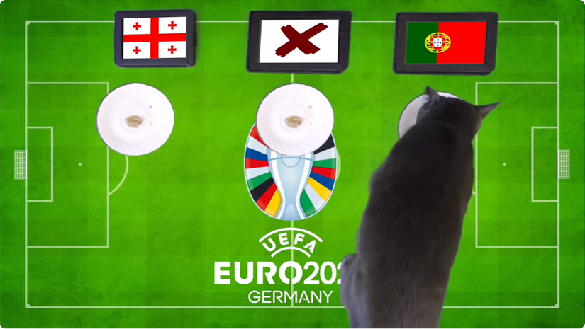 Mèo tiên tri dự đoán Georgia vs Bồ Đào Nha