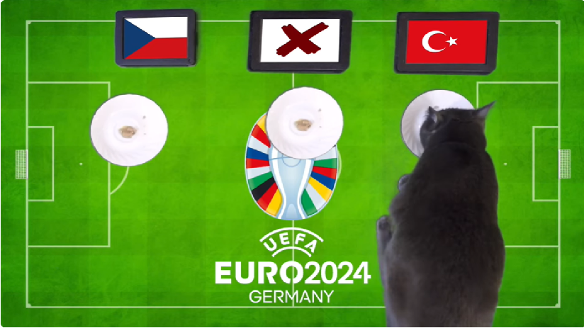 Mèo tiên tri dự đoán Séc vs Thổ Nhĩ Kỳ
