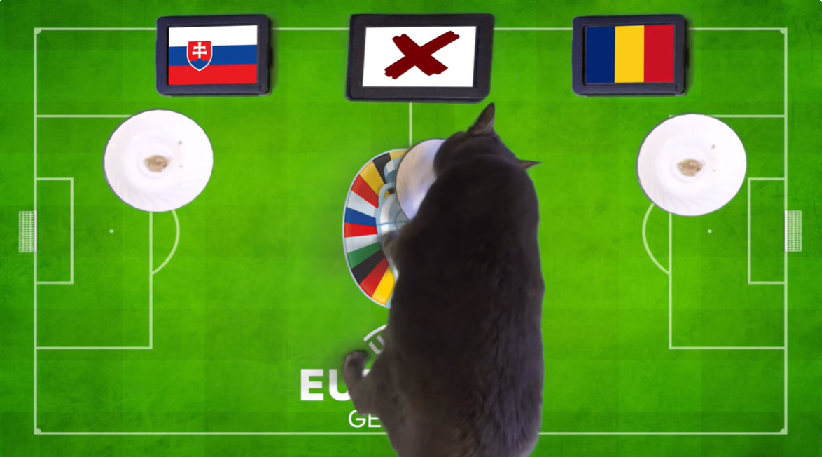 Mèo tiên tri dự đoán Slovakia vs Romania