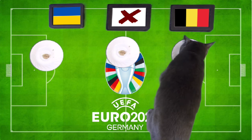 Mèo tiên tri dự đoán Ukraine vs Bỉ