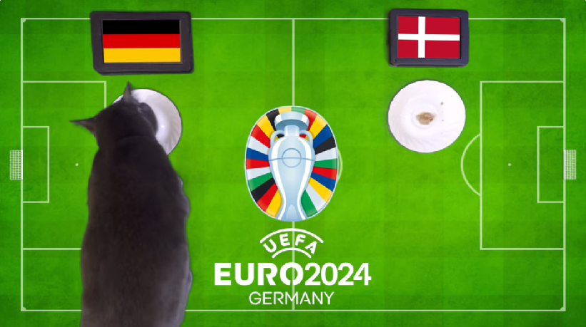Mèo tiên tri dự đoán Đức vs Đan Mạch
