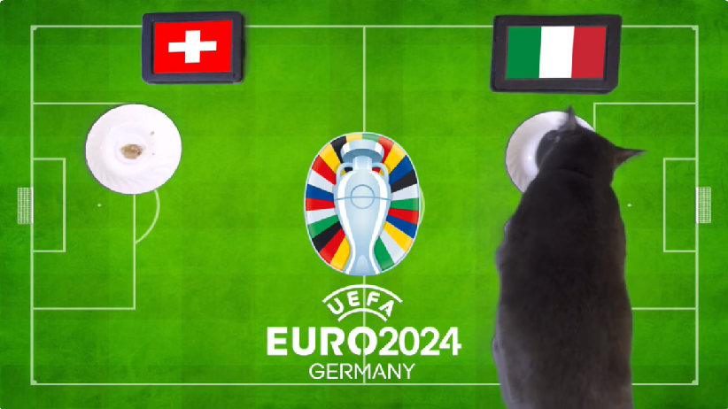 Mèo tiên tri dự đoán Thụy Sĩ vs Italia