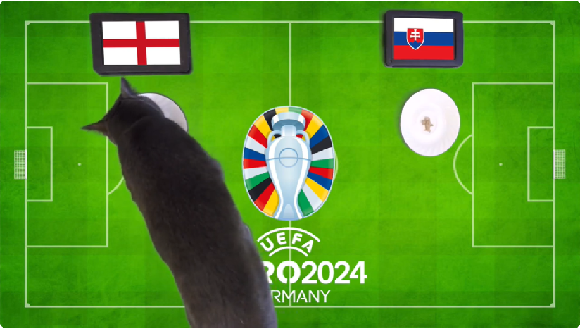 Mèo tiên tri dự đoán Anh vs Slovakia