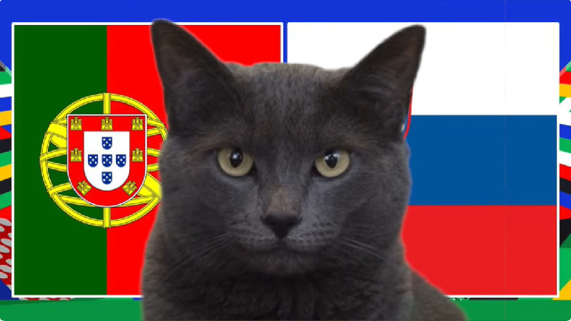 Mèo tiên tri dự đoán Bồ Đào Nha vs Slovenia, 2h ngày 2/7, Euro 2024