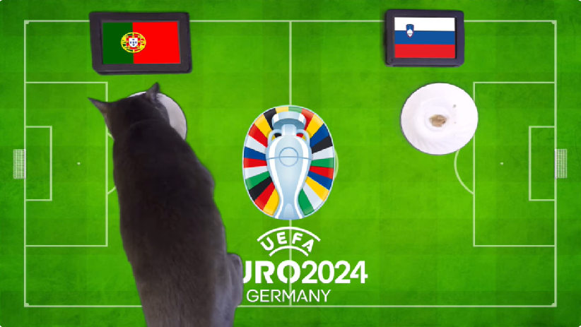 Mèo tiên tri dự đoán Bồ Đào Nha vs Slovenia