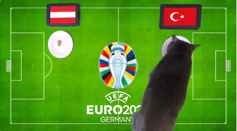 Mèo tiên tri dự đoán Áo vs Thổ Nhĩ Kỳ