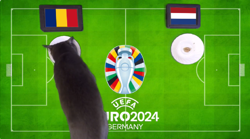 Mèo tiên tri dự đoán Romania vs Hà Lan