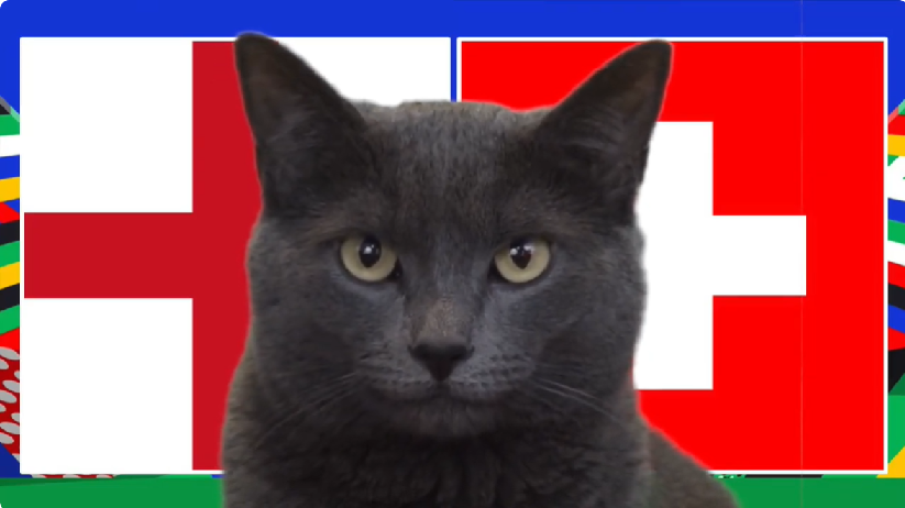Mèo tiên tri dự đoán Anh vs Thụy Sĩ, 2h ngày 6/7, Euro 2024