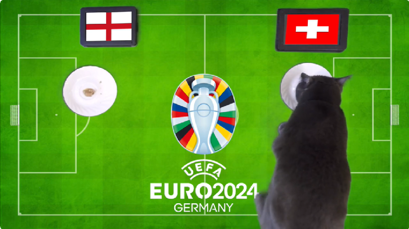 Mèo tiên tri dự đoán Anh vs Thụy Sĩ,