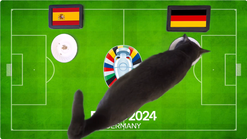 Mèo tiên tri dự đoán Tây Ban Nha vs Đức