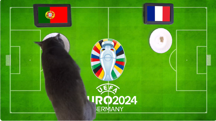 Mèo tiên tri dự đoán Bồ Đào Nha vs Pháp