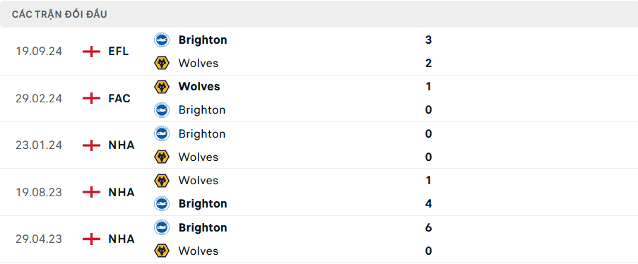 Lịch sử đối đầu Brighton vs Wolves