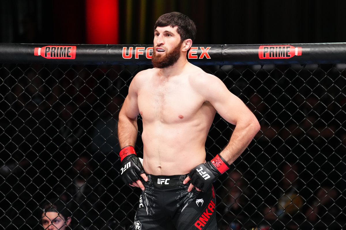 UFC 313: Alex Pereira, Magomed Ankalaev và những con số ấn tượng