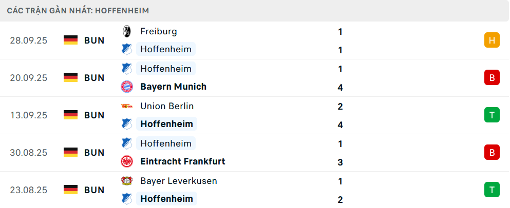 Phong độ Hoffenheim 5 trận gần nhất Phong độ Hoffenheim 5 trận gần nhất