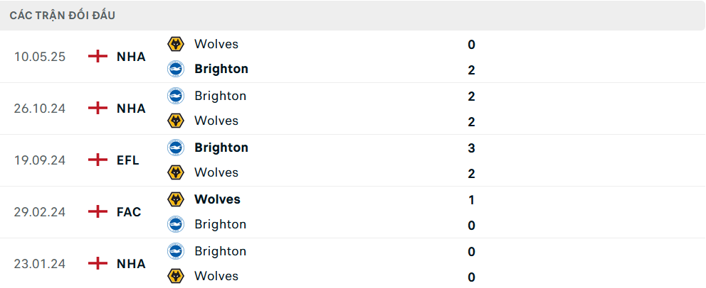 Lịch sử đối đầu Wolves vs Brighton
