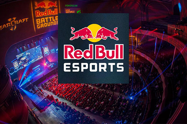 Red Bull chính thức là nhà tại trợ cho King Dragon X