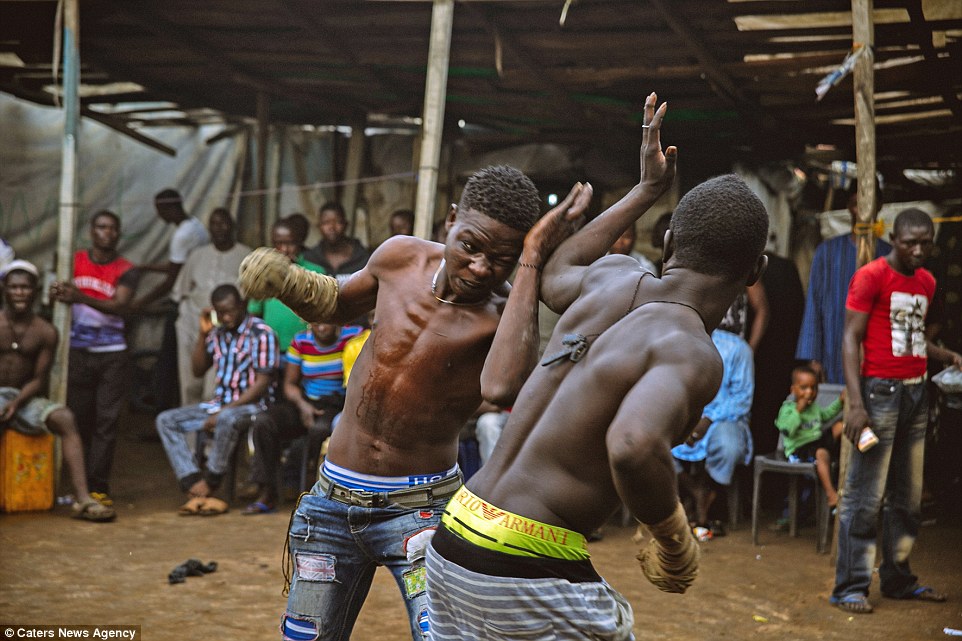 Dambe boxing: Môn võ bạo tàn của người Tây Phi