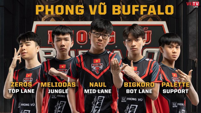 [MSI 2019] Team Liquid vs Phong Vũ Buffalo: Hết mình vì màu cờ sắc áo!
