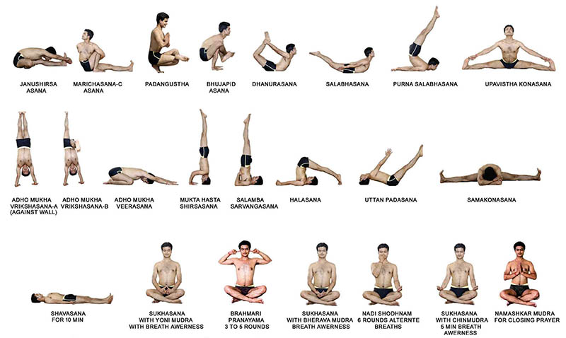 8 trường phái Yoga phổ biến ở Việt Nam hiện nay